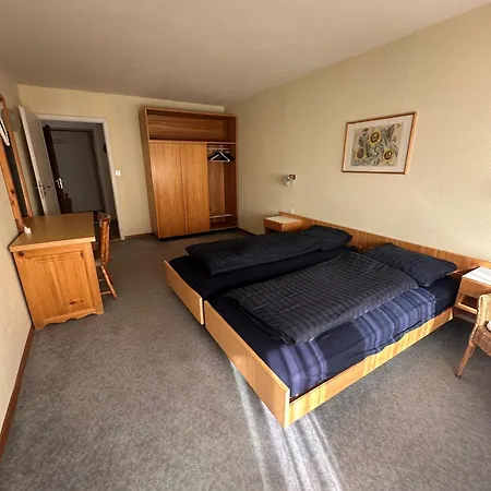 Swiss Paradise 7 Gaste Und Nadelhorn 6 Gaste, Sauna