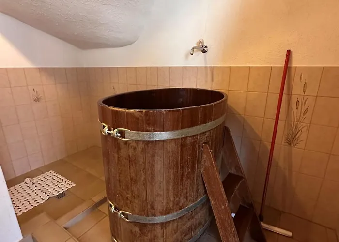 Swiss Paradise 7 Gaste Und Nadelhorn 6 Gaste, Sauna